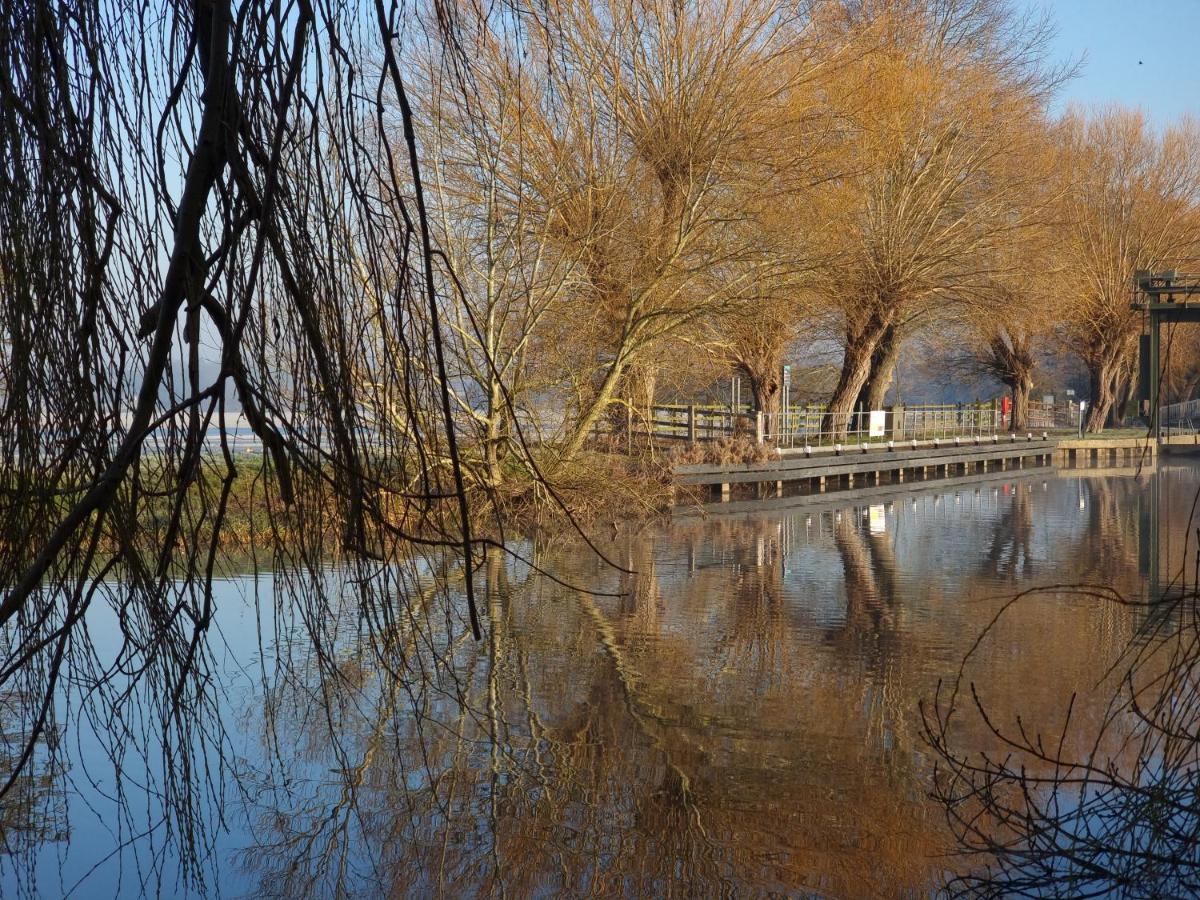 West Farm Cottage Godmanchester Dış mekan fotoğraf
